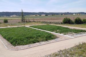 La CH del Duero construye una depuradora natural y sostenible en Esguevillas de Esgueva mediante humedales artificiales