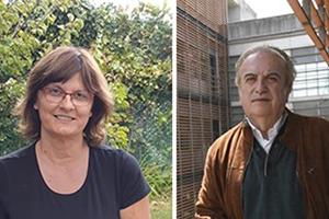 Dos investigadores del ICRA, entre los primeros científicos de España según el ranking internacional Research.com