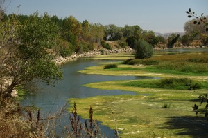 El río Ebro tiene problemas “respiratorios”