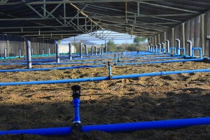 Un sistema de tratamiento de aguas residuales creado en Chile es un éxito en la India