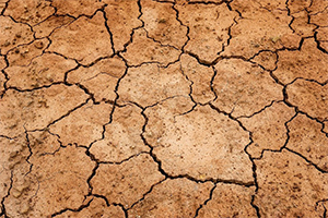 Aprobada la ampliación del decreto de sequía y medidas urgentes que movilizará 141,5 M€ en Andalucía
