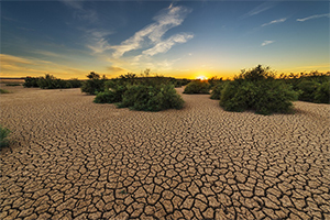 El mayor suministrador de agua de los EEUU declara la emergencia por sequía