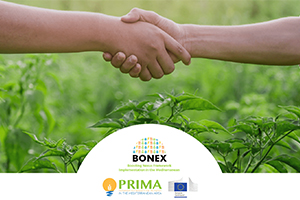 BONEX: el nuevo proyecto para impulsar sinergias entre agua, energía, alimentos y ecosistemas