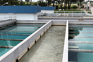Un estudio de la Cátedra aborda el potencial de la implantación de un programa de purgas sobre la calidad del agua