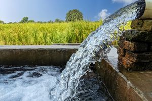 Un proyecto liderado por el CSIC y dotado con 10,5 M€ empleará inteligencia artificial para mejorar la gestión del agua