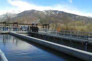 El Instituto Aragonés del Agua destina 600.000 € del FITE para subvencionar actuaciones del ciclo integral del agua