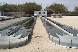 Investigadores españoles diseñan un simulador del crecimiento de microalgas para el tratamiento de aguas residuales