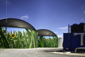 El MAGRAMA y SEDIGAS organizan el I “Workshop Europeo sobre el biogás-biometano”