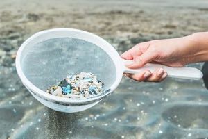 Cómo pueden dañar la vida acuática las sustancias químicas de los plásticos
