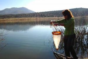 Investigadores de la UJA elaboran un plan de acción para proteger nueve humedales del Alto Guadalquivir