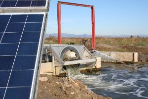 Una estación de bombeo con energía solar permite reducir el nivel de salinización de una laguna del Parque Natural del Delta del Ebro