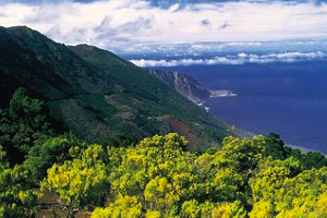 Las administraciones invertirán casi 20 millones de euros  para garantizar la protección del agua en las Islas Canarias
