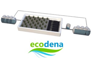 Sistemas de evapotranspiración de ECODENA para la depuración de las aguas residuales