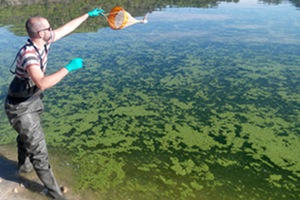 Detección de cianobacterias tóxicas en masas de agua potable