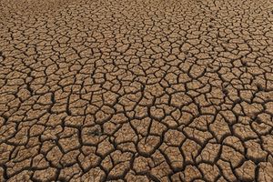 La CH del Segura declara la situación excepcional por sequía extraordinaria para la UTE I Principal de la cuenca del Segura