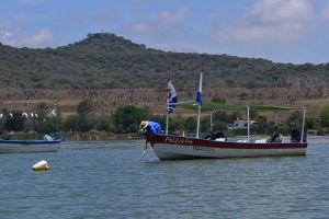 Investigadores mexicanos al rescate de los lagos de Jalisco