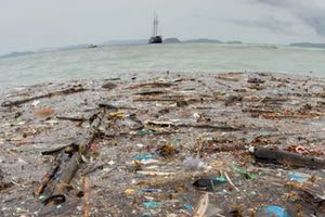 El plástico envenena y mata a la fauna de los océanos