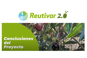Reutivar 2.0: Riego del olivar con agua regenerada