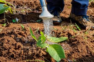 Contaminación del agua por nitratos: soluciones de SALHER para eliminarlos