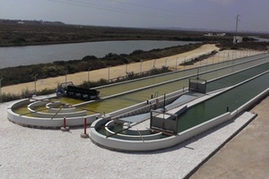 La televisión nacional francesa se interesa por el proyecto All Gas desarrollado en la EDAR de El Torno en Chiclana (Cádiz)
