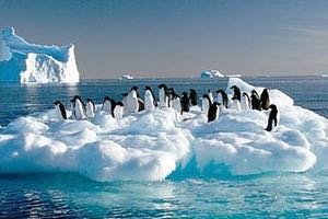 Los contaminantes emergentes llegan a la Antártida a través del vertido de aguas residuales