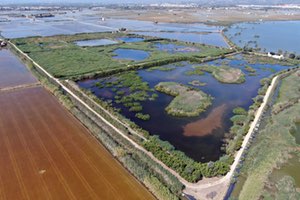 Un estudio de la Cátedra Aguas de Valencia caracteriza el comportamiento hidráulico del Tancat de Milia para optimizar su funcionamiento