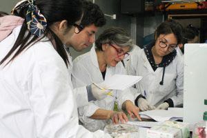 Profesores de la USC participan en un taller internacional sobre tratamiento de aguas residuales en Chile