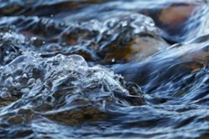 Coloquio: Gestión del agua en la interfaz entre ciencia, política y sociedad de la Fundación Botín