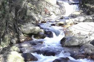Sancedo en León construirá una EDAR para evitar el vertido directo de aguas fecales al arroyo de Cueto