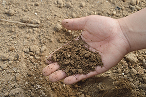 Málaga impulsa un proyecto de 12,6 M€ para potenciar la generación de energía eléctrica y producir fertilizantes a través de las aguas residuales