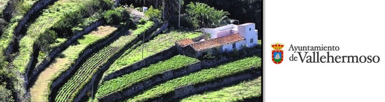 El Alcalde de Vallehermoso en la Isla de la Gomera prohibe el uso del agua potable para uso agrícola y lavado de vehículos