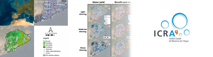 Un nuevo estudio del ICRA-CERCA revela el impacto de los aclareos forestales en el agua "azul" de las cuencas mediterráneas