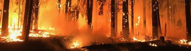 Los efectos “invisibles” del fuego en acuíferos y aguas subterráneas