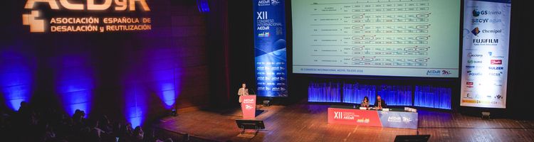 Conclusiones sobre el XII Congreso Internacional de AEDyR celebrado en Toledo