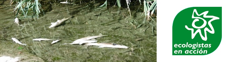 Los peces del río Henares en Madrid no murieron por causas naturales, sino por contaminación