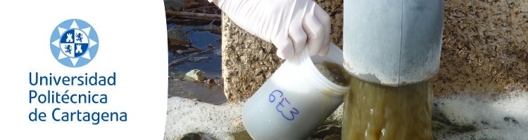 Investigadores proponen el uso de humedales artificiales para disminuir el vertido de fertilizantes al Mar Menor
