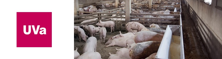 Científicos españoles investigarán la recuperación del nitrógeno de los purines de las granjas porcinas y avícolas