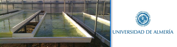 Se pone en marcha en Almería el Proyecto EDARSOL sobre “Valorización de aguas residuales mediante consorcios microalgas-bacterias"