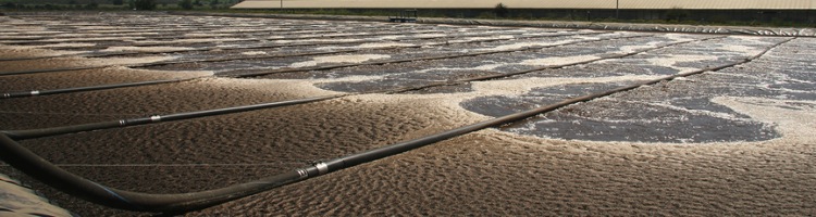 Castilla y León destinará tres millones de euros a la construcción de infraestructuras de valorización de purines