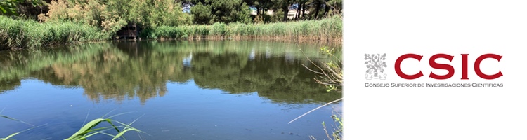 El CSIC muestra la eficacia de los humedales para eliminar antibióticos en el tratamiento de aguas residuales