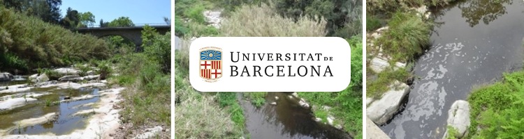 Investigadores alertan sobre el grave impacto ecológico de los vertidos industriales sin depurar en el río Ripoll en Barcelona