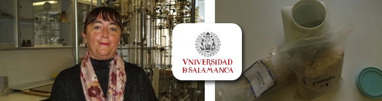 Investigadores españoles trabajan en la eliminación de contaminantes emergentes industriales con columnas de arcilla