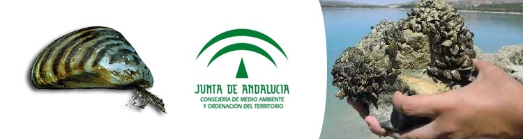 La Junta de Andalucía promueve una mesa de seguimiento de las actuaciones para la prevención y lucha del mejillón cebra