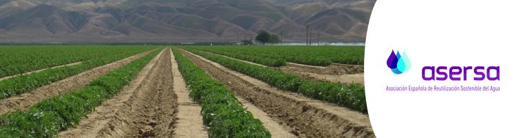 Los retos de la gestión del agua en el emporio agrícola del Valle de San Joaquín en California