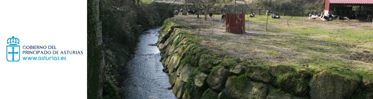 Asturias continúa con los trabajos para dotar de saneamiento a pequeñas poblaciones de Corvera