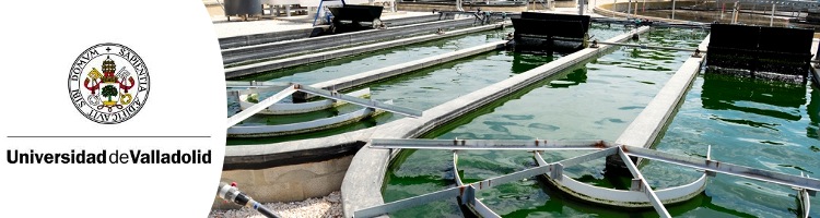 La UVa participa en un proyecto nacional de producción de microalgas para la depuración de efluentes agroindustriales
