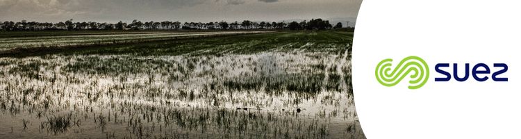 La gestión de los humedales de depuración del Delta del Ebro, ejemplo de modelo de desarrollo sostenible