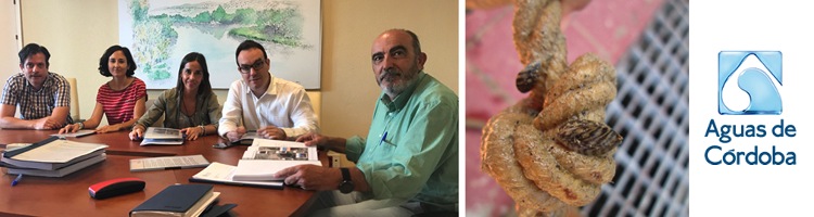 Diputación de Córdoba y CHG renovarán el convenio para el control y estudio del mejillón cebra