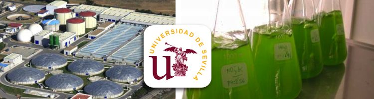 Investigadores españoles patentan un novedoso sistema de depuración de aguas residuales con microalgas