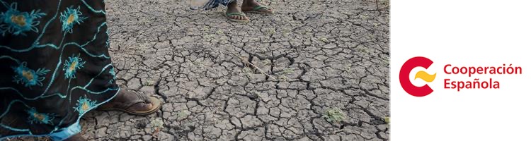 España combate la desertificación también fuera de sus fronteras